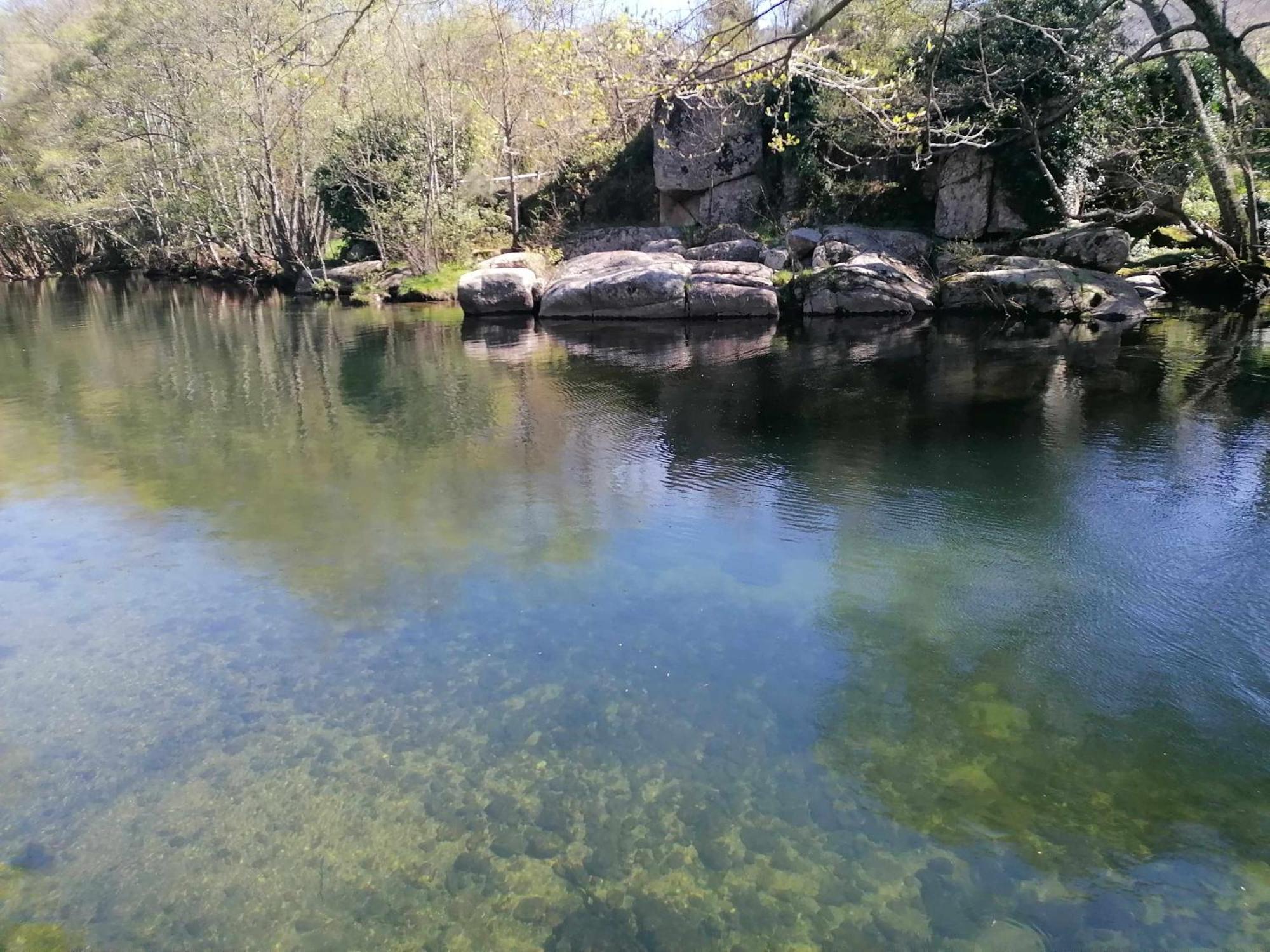 Quinta Do Moinho Turismo De Natureza Aldeia Vicosa Eksteriør billede