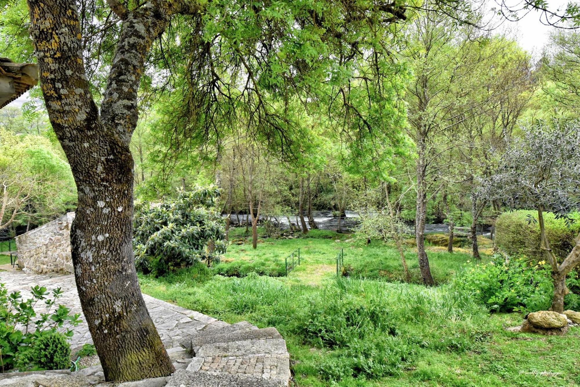 Quinta Do Moinho Turismo De Natureza Aldeia Vicosa Eksteriør billede